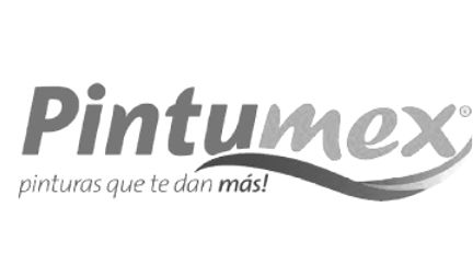 Pintumex