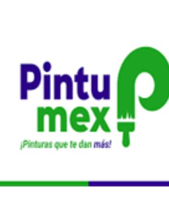Pintumex